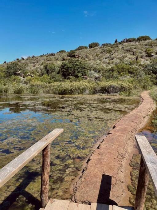 Owl Cottage - Living The Breede Malgas Exteriör bild